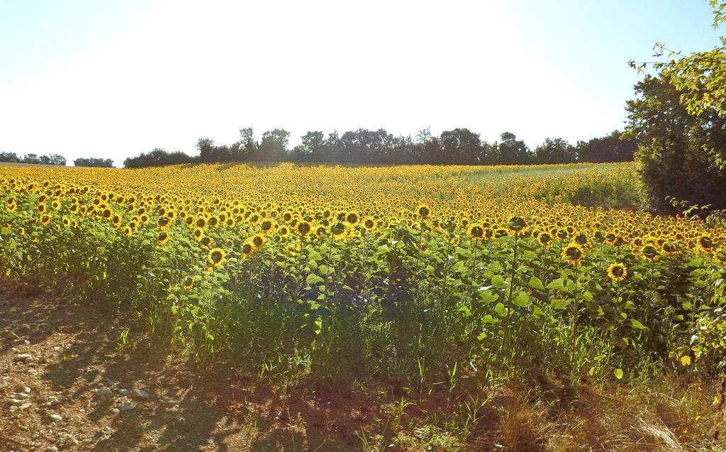 La Petite Maison Crezieres ห้อง รูปภาพ